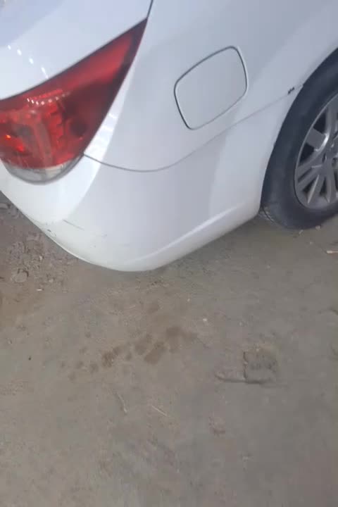 دنا ۹۶|خودرو سواری و وانت|نیشابور, امام|دیوار