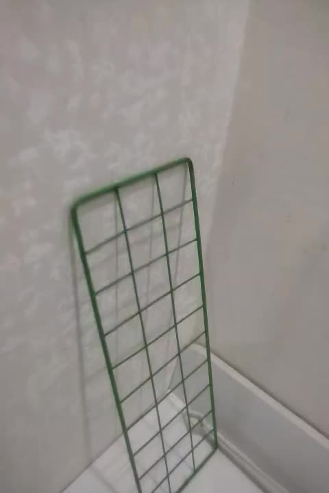 طبقه فلزی رنگی با بست|کتابخانه، شلف، قفسه‌های دیواری|قم, الغدیر|دیوار