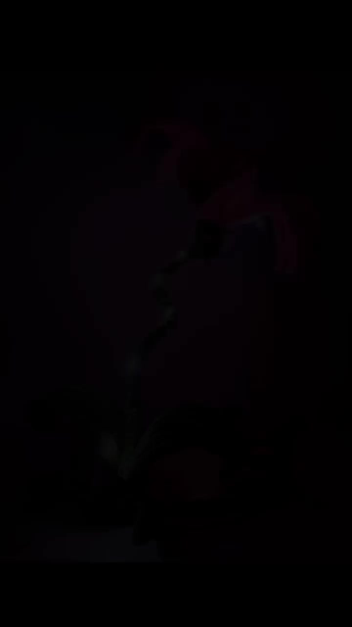 آباژور مخملی|چراغ خواب و آباژور|تبریز, |دیوار