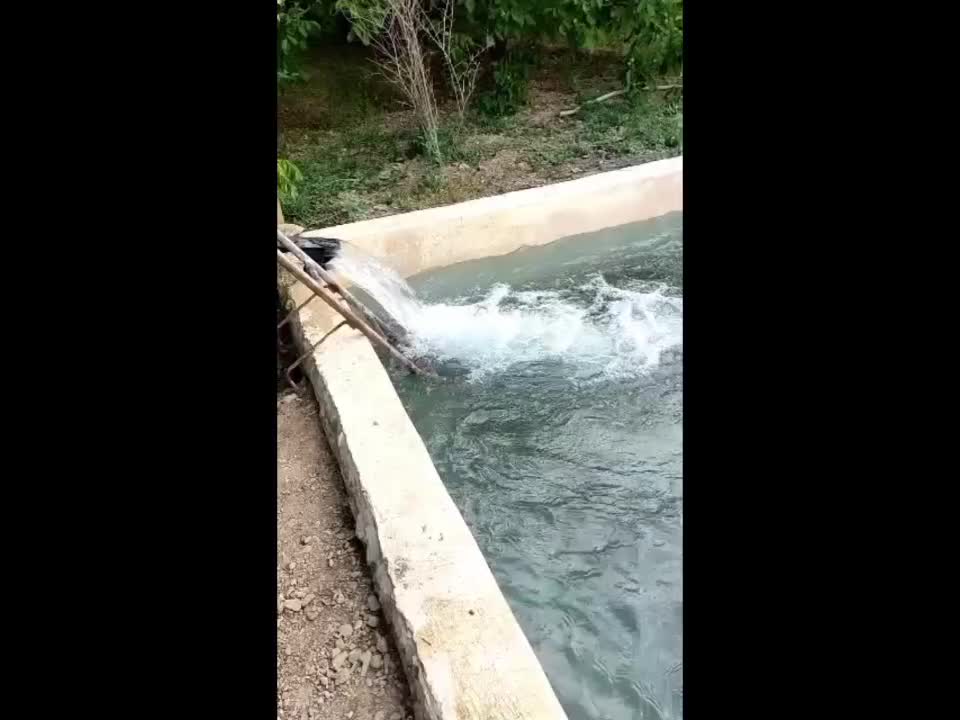 باغ میوه|فروش زمین و ملک کلنگی|جوکار, |دیوار