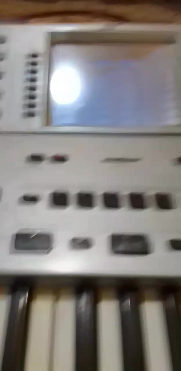 ارگ پرشین جنسیس اصل ایتالیا|پیانو، کیبورد، آکاردئون|لوندویل, |دیوار