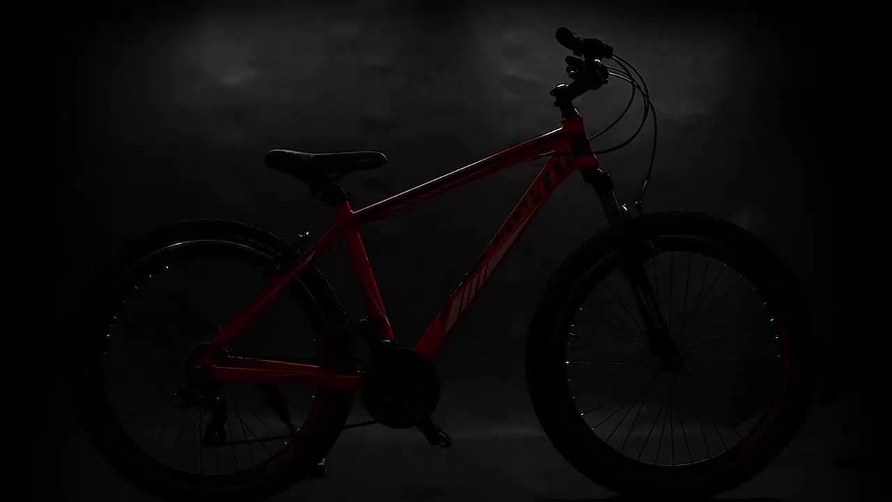 دوچرخه هوشمندانه اقتصادی زیرق کشور|دوچرخه، اسکیت، اسکوتر|اصفهان, جلالیه|دیوار