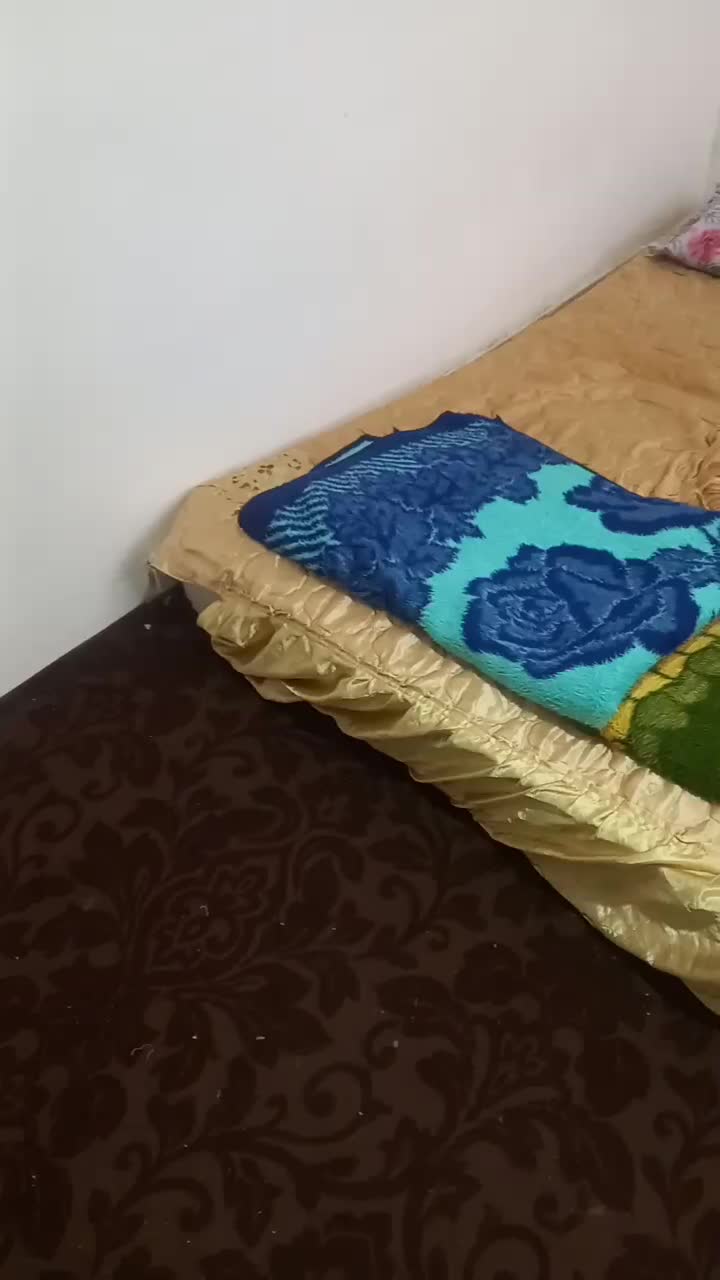 تشک طبی ۲نفره همراه با بالشت پتو وروتختی|تشک تختخواب|لاهیجان, گلستان|دیوار