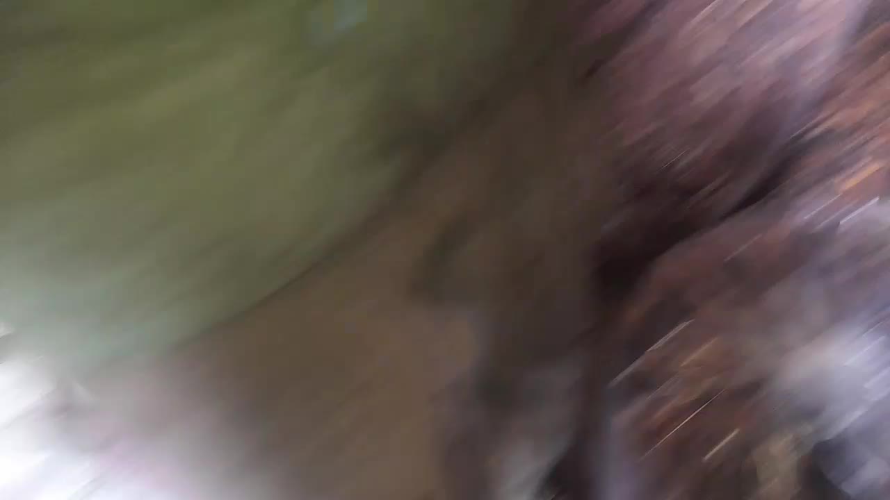 خرما انواع صنعتی ش|عمدهفروشی|کارون, |دیوار