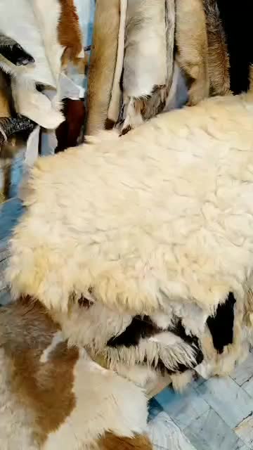 پوست مویی گوسفندی و بزی|آرایشی، بهداشتی، درمانی|قم, رضویه|دیوار