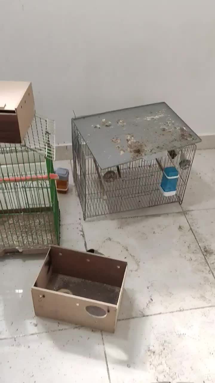 قفس|لوازم جانبی حیوانات|اهواز, بهارستان|دیوار