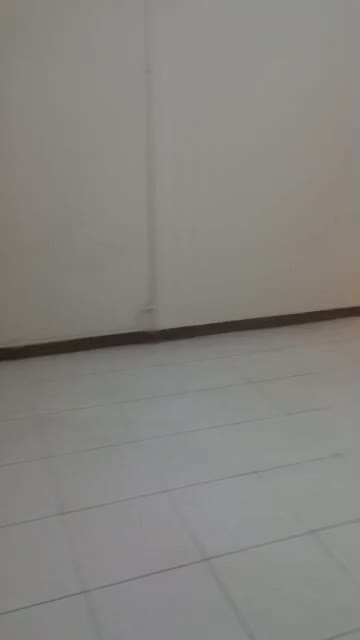 اپارتمان ۵۷ متری تک خواب طبقه اول|اجارهٔ آپارتمان|تهران, جمالزاده|دیوار