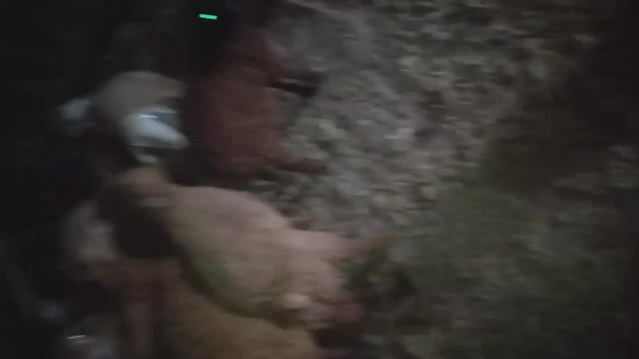 تعداد ۱۲ عدد بره نر برای نگهداری خیلی خوب هستن|حیوانات مزرعه|آبش احمد, |دیوار