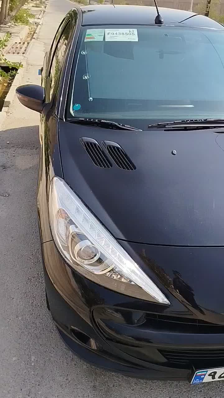 207 تیوفایو زیمنس|خودرو سواری و وانت|بوشهر, |دیوار