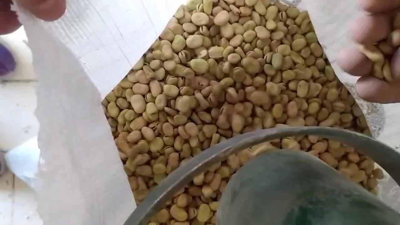 باقالا درجه یک|عمدهفروشی|اسلامشهر, شهرک مفیدی|دیوار