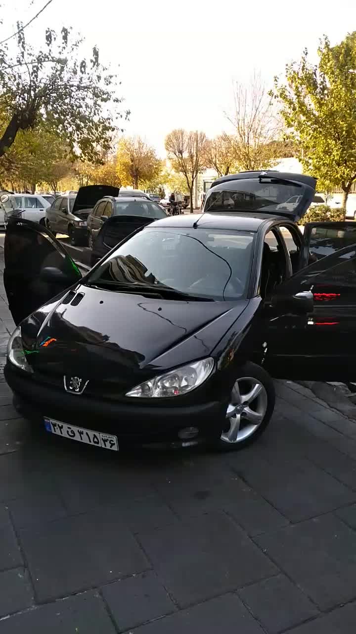 ۲۰۶ لوازمی بی نظیر و خاص|خودرو سواری و وانت|تهران, قیطریه|دیوار