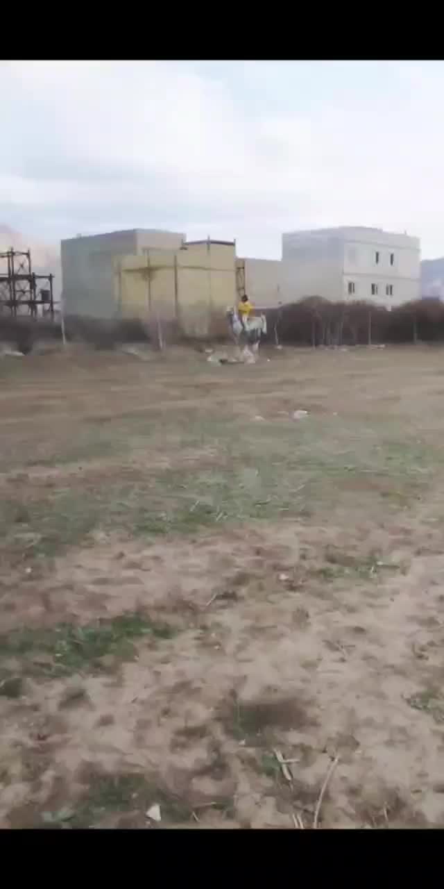 اسب|اسب و تجهیزات اسب‌سواری|فولادشهر, B5|دیوار