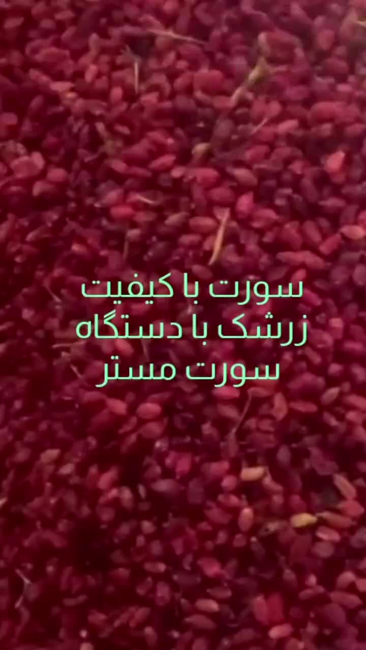 دستگاه سورتینگ لیزر زرشک ۲ کانال سورتمستر|ماشینآلات صنعتی|قائن, |دیوار