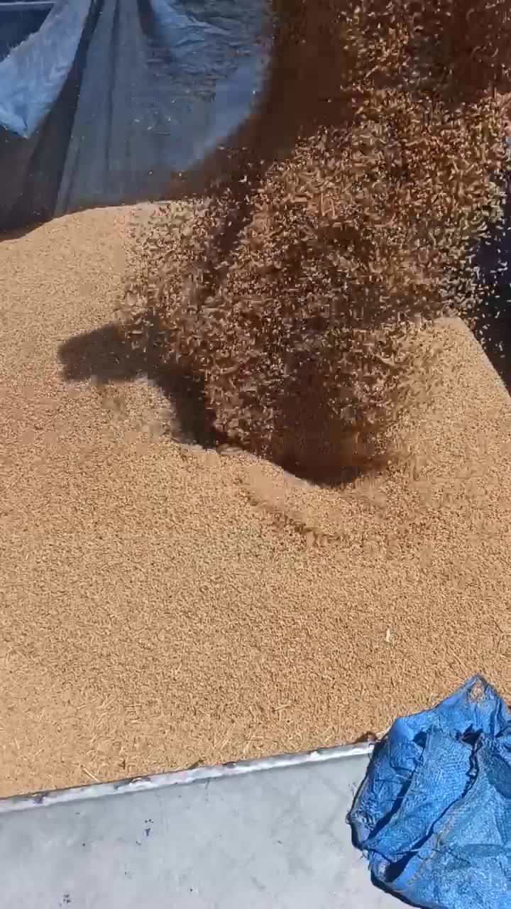 کمپاین سهند|خودرو سنگین|بانه, |دیوار