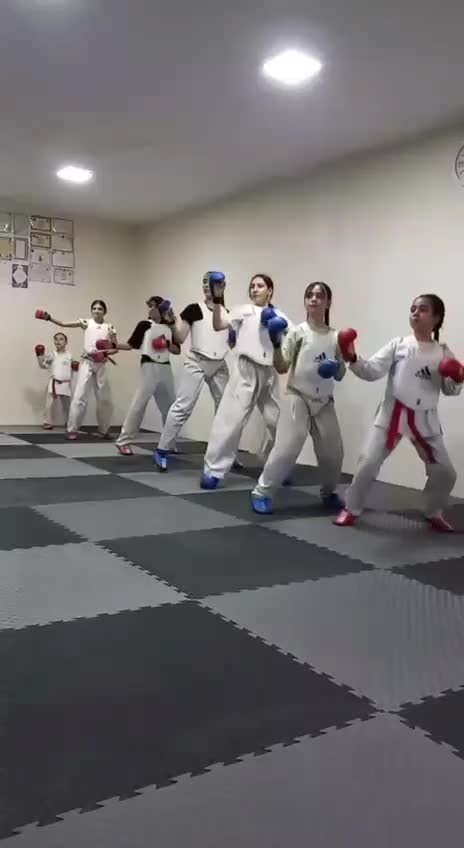 آموزش کاراته|خدمات آموزشی|زنجان, |دیوار