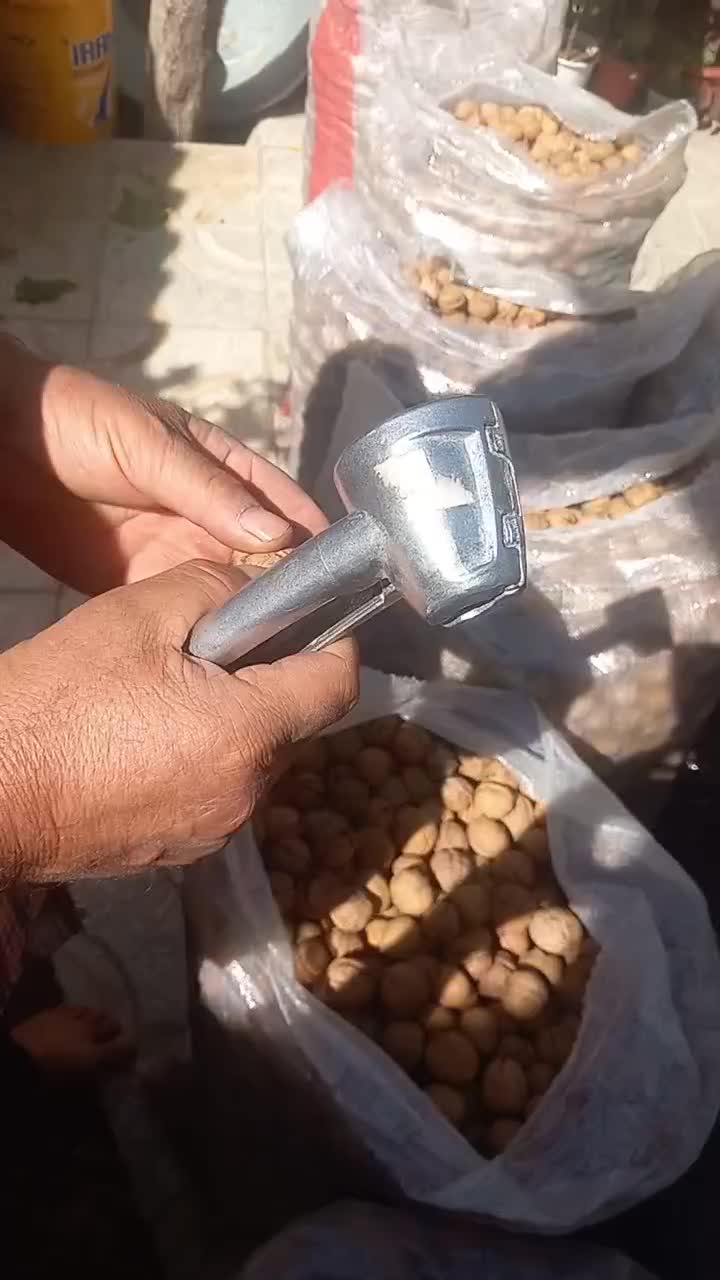 گردو پوست نازک امسال|خوردنی و آشامیدنی|قائم‌شهر, |دیوار