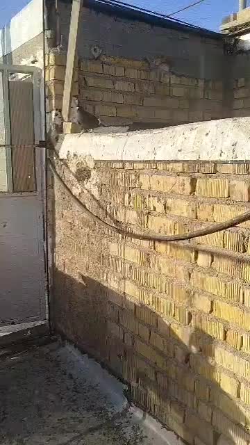 قره سینه همه چی خوب|پرنده|شیراز, دروازه قران|دیوار
