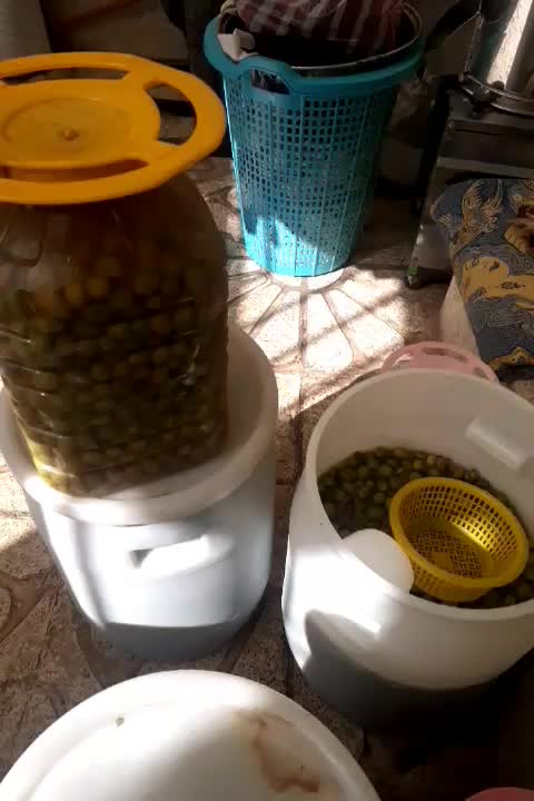 فروش شیره انگور خانگی و زیتون|خوردنی و آشامیدنی|اقبالیه, |دیوار