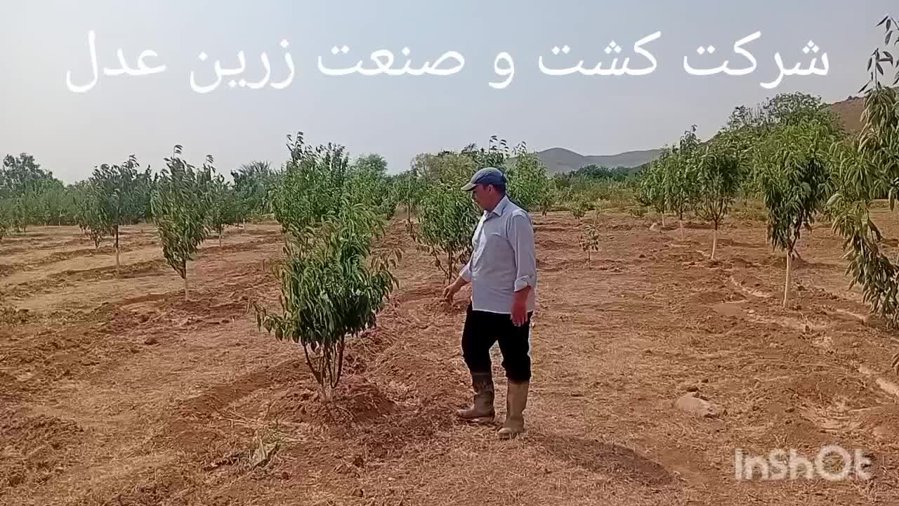 کود فوق تخصصی ماکرو پاور فول|خدمات باغبانی و درختکاری|اراک, |دیوار