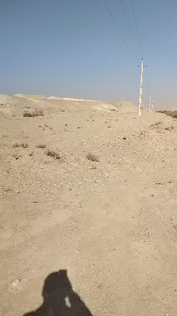 زمین ۸۲۰۰ متر ،سند،باقابلیت کاربری و انبار،ایوانکی|فروش دفتر صنعتی، کشاورزی، تجاری|پاکدشت, پاکدشت (مامازند)|دیوار