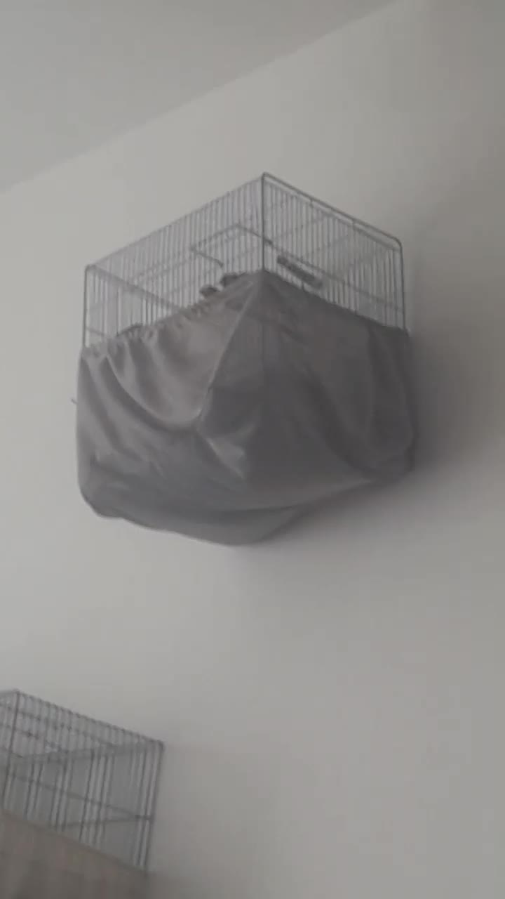 سره چهار گل|پرنده|ری, علایین|دیوار