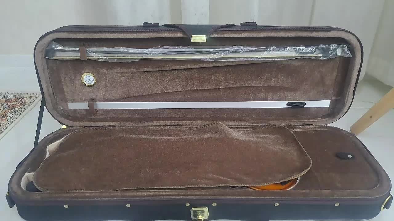 ویالون برند WashBurn دست ساز|ویولن|تهران, نازی‌آباد|دیوار