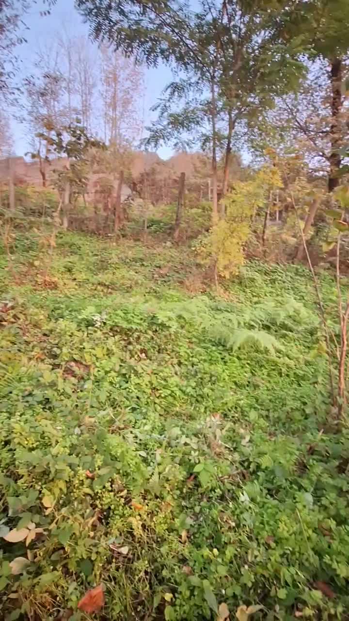 زمین روستایی به مساحت ۱۰۰۰ متر|فروش زمین و ملک کلنگی|توتکابن, |دیوار