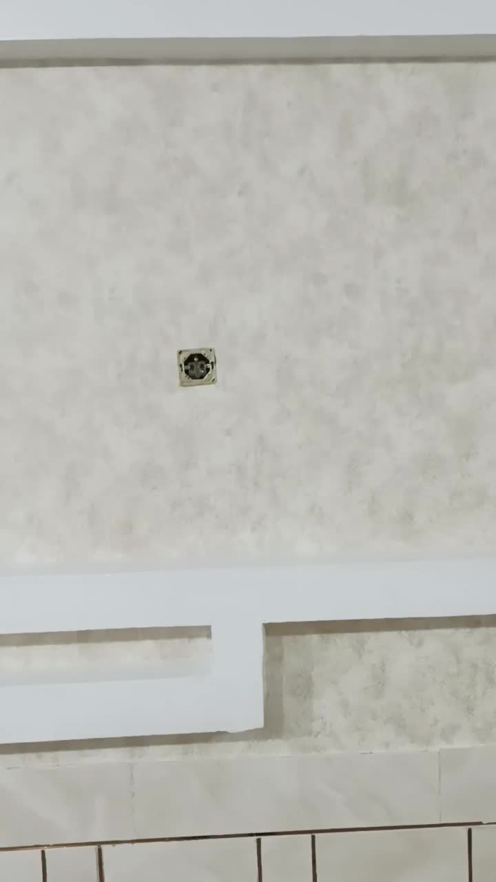 گالری کاغذ دیواری حسینی|خدمات پیشه و مهارت|لردگان, |دیوار