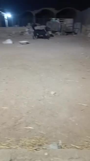 سگ قدرجونی|سگ|خمینی‌شهر, |دیوار