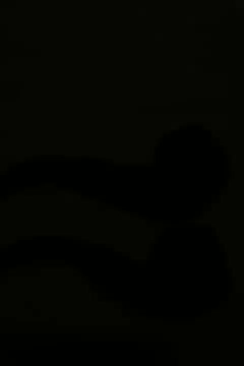 پیپ vauen|کلکسیون اشیاء عتیقه|تهران, تهرانپارس غربی|دیوار