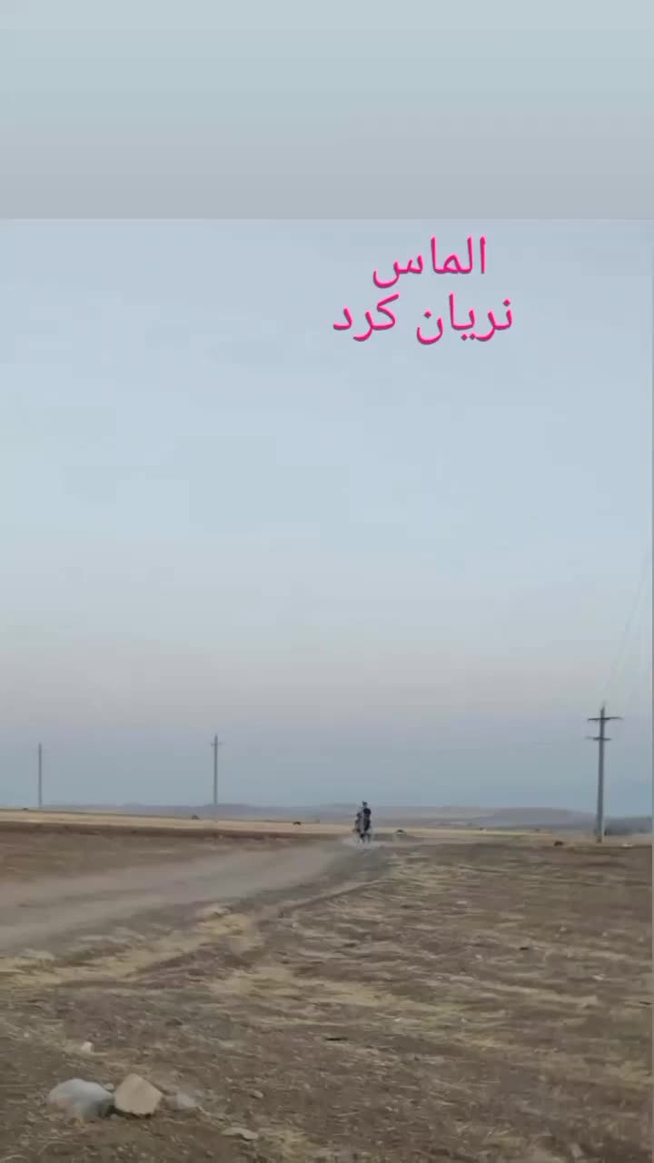 اسب کرد مدارکدار|اسب و تجهیزات اسبسواری|قیدار, |دیوار