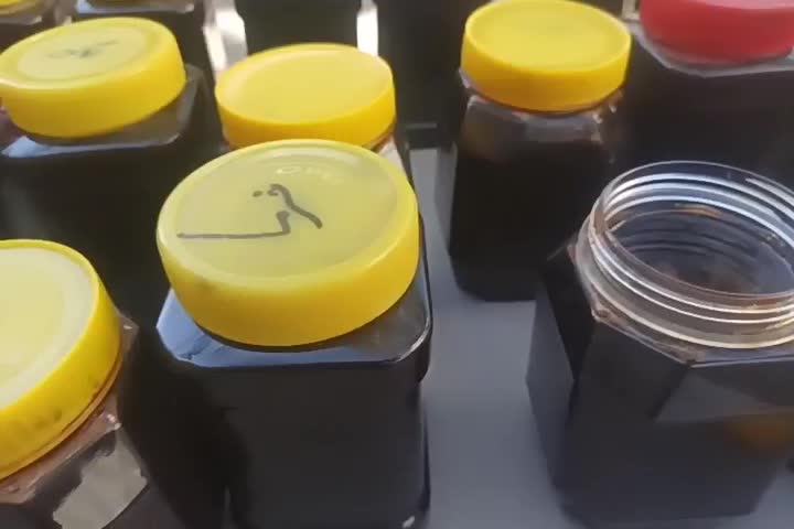 رب انار و دوشاب انگور طبیعی هورامان|خوردنی و آشامیدنی|بانه, |دیوار