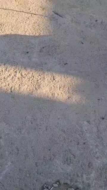 لودر زد ال ۹۳۶ سری B|خودرو سنگین|تهران, آجودانیه|دیوار