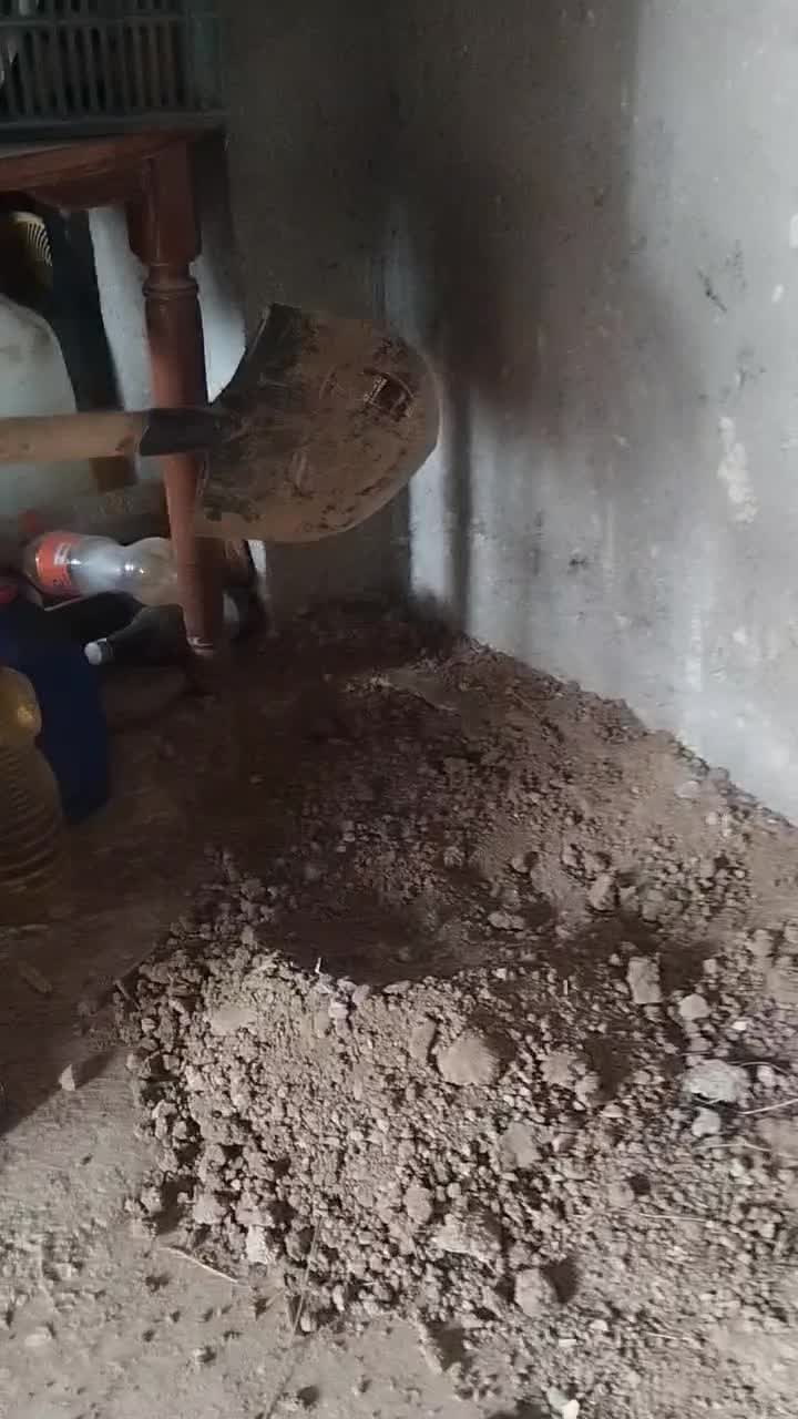 پنیر زیر خاکی گاو|خوردنی و آشامیدنی|نوشین شهر, |دیوار