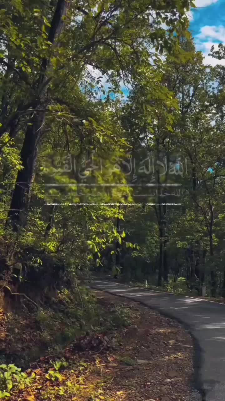 زمین کشاورزی در روستای تکدام|فروش دفتر صنعتی، کشاورزی، تجاری|انگوت, |دیوار