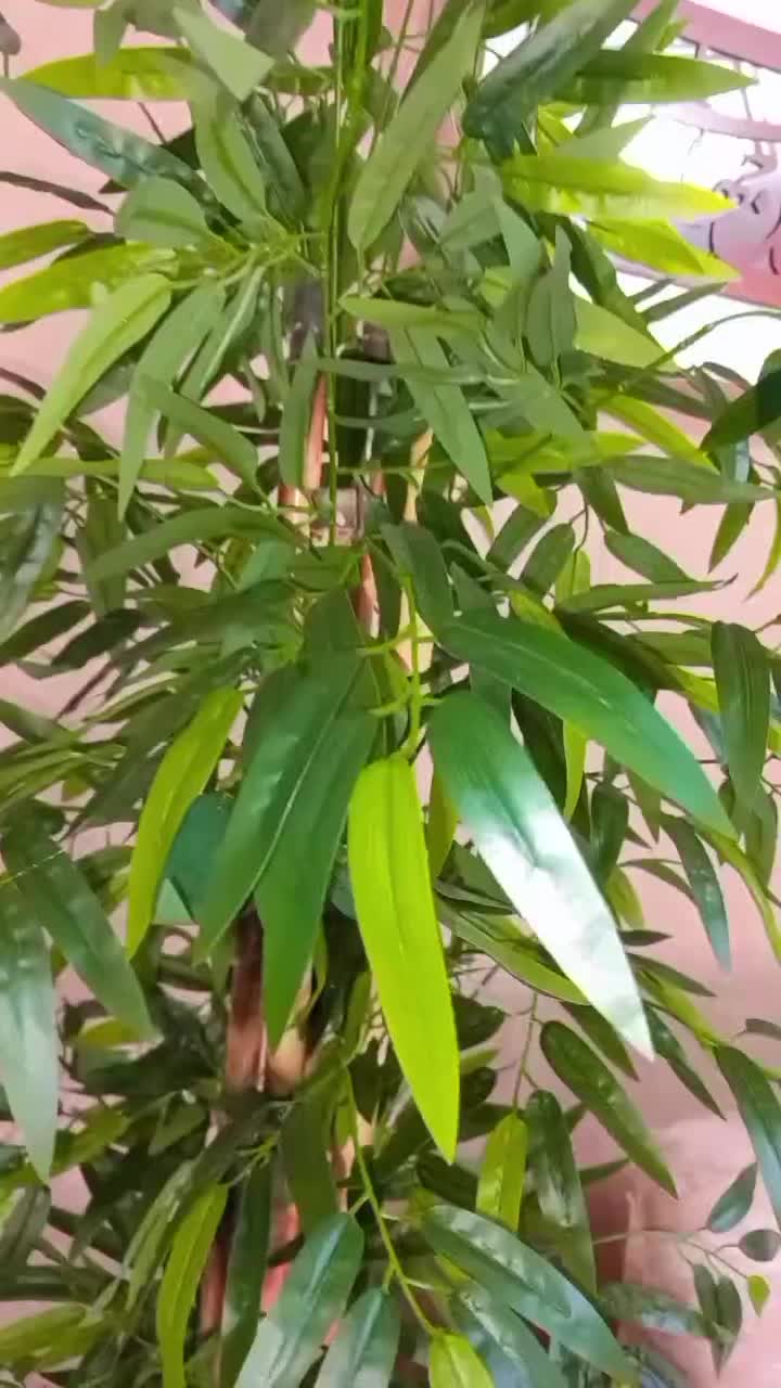 درختچه خیزران مصنوعی ۵۹۹۰۰۰ت|گل مصنوعی|کرج, مهرویلا جنوبی|دیوار