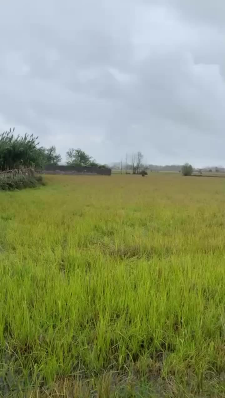 ویلای ۲۲۵متری مدرن ۵دقیقه ساحل۵دقیقه ای خشکبیجار|فروش خانه و ویلا|رشت, منظریه|دیوار