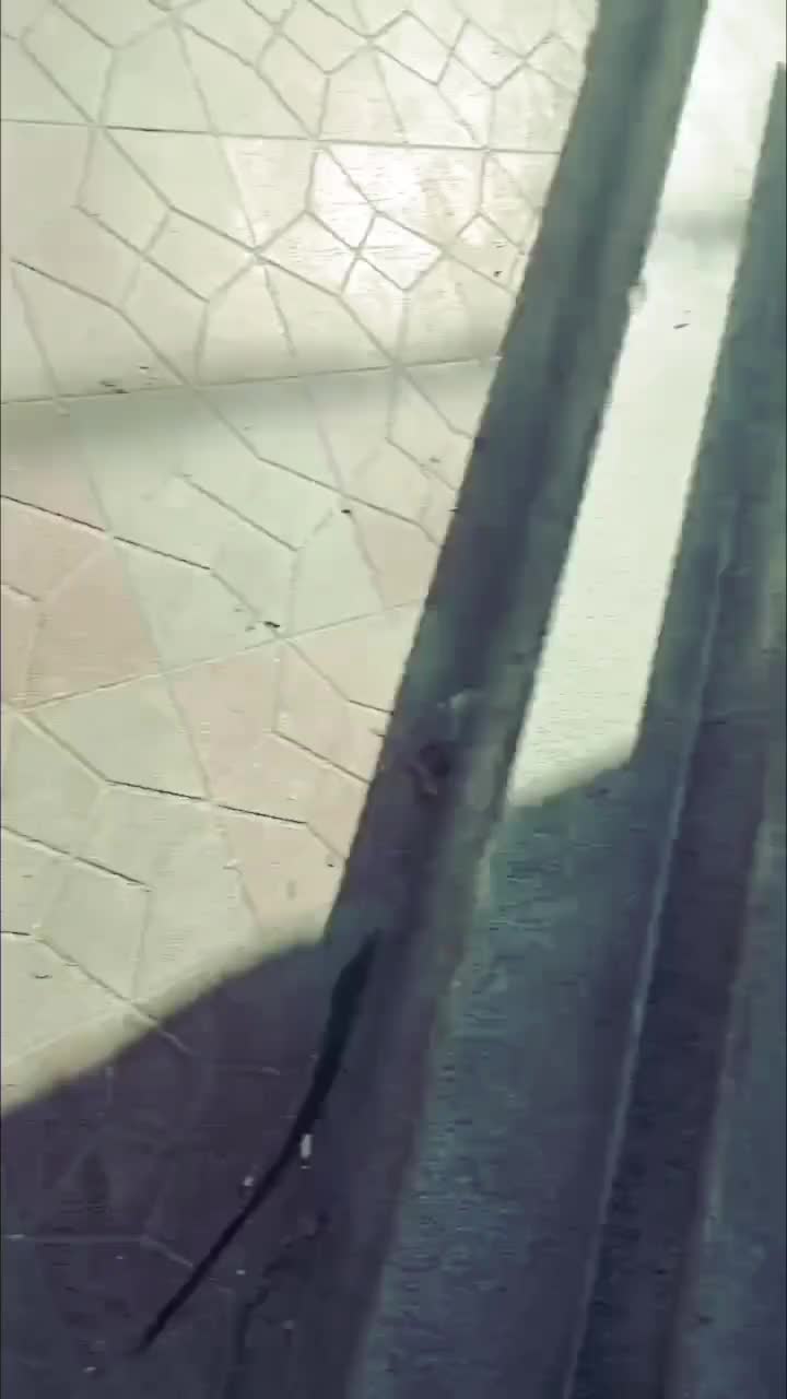 سلام . انواع شیشه های ساختمانی وسکوریت|خدمات پیشه و مهارت|ورامین, ورامین|دیوار