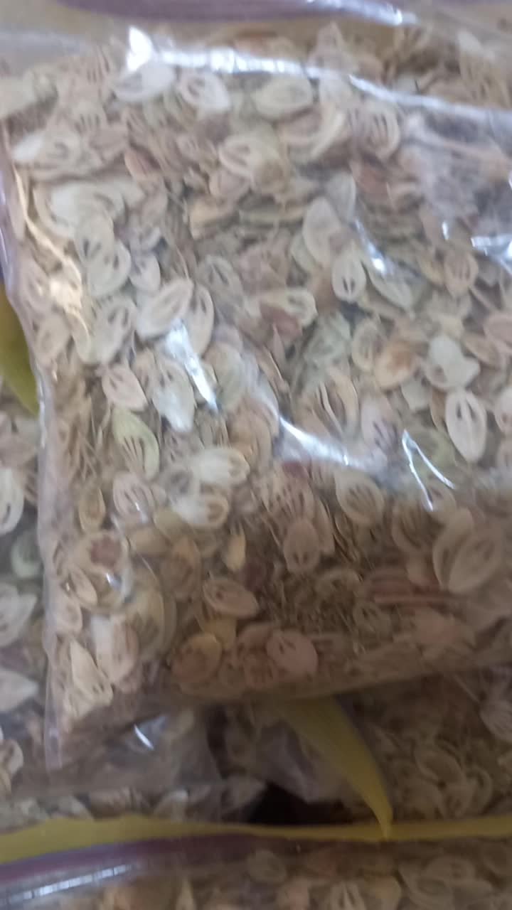 گلپر|گل و گیاه طبیعی|کرج, حیدرآباد|دیوار
