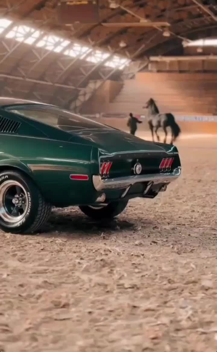 Mustang Bullit gt 1966-1967|خودرو کلاسیک|مشهد, سجاد شهر|دیوار