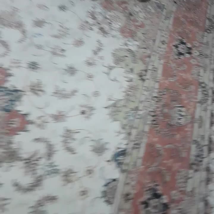 توله سگ های آپارتمانی نژاد پودل|سگ|مشهد, شهید رضوی|دیوار