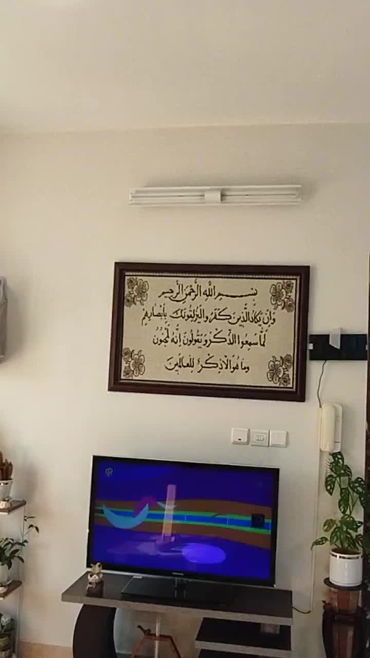 قناری نر|پرنده|اصفهان, گرکان|دیوار