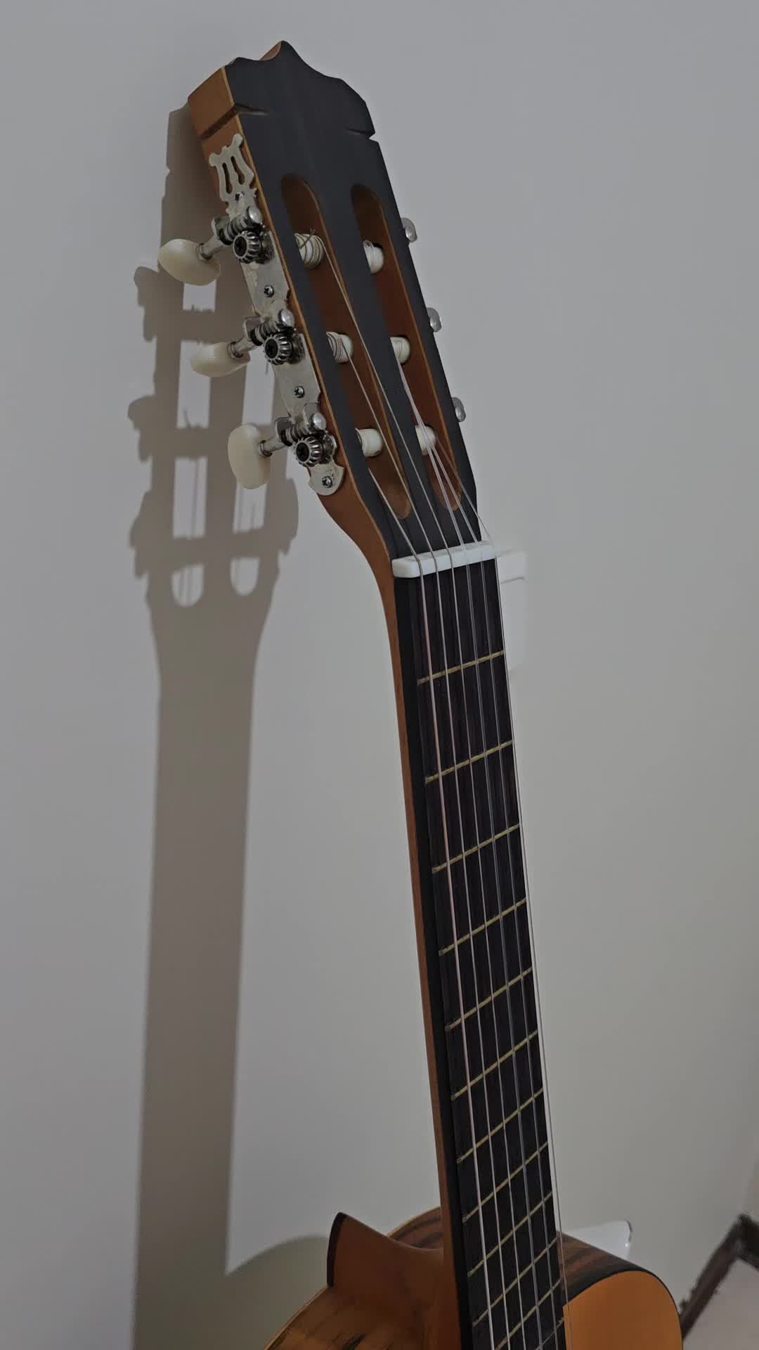 گیتار پارسی مبتدی|گیتار، بیس، امپلیفایر|تهران, سازمان برنامه شمالی|دیوار