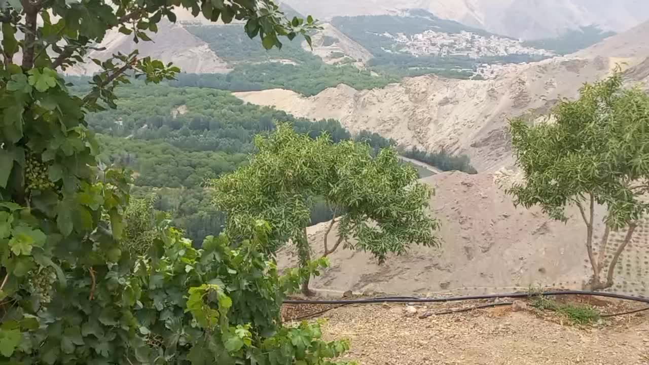 فروش زمین کشاورزی|فروش زمین و ملک کلنگی|زاینده رود, |دیوار