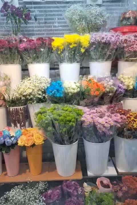 گل فروشی فرهادی فیروزآباد فارس|گل و گیاه طبیعی|فیروزآباد (فارس), |دیوار