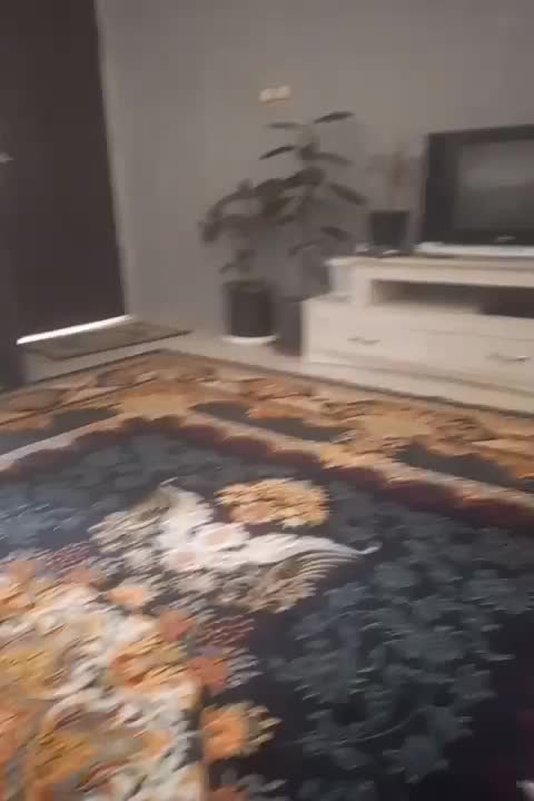 اجاره کوتاه مدت توافقی|اجارهٔ کوتاه‌مدت آپارتمان و سوئیت|مشهد, طبرسی شمالی|دیوار