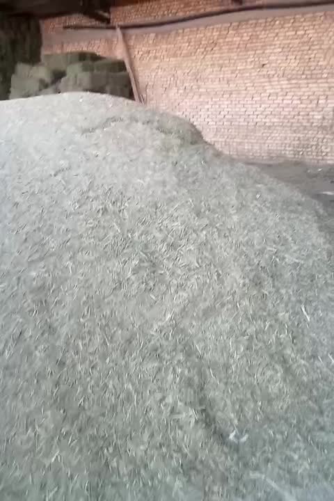 یونجه خورد شده چین اول|عمده‌فروشی|شهرکرد, |دیوار