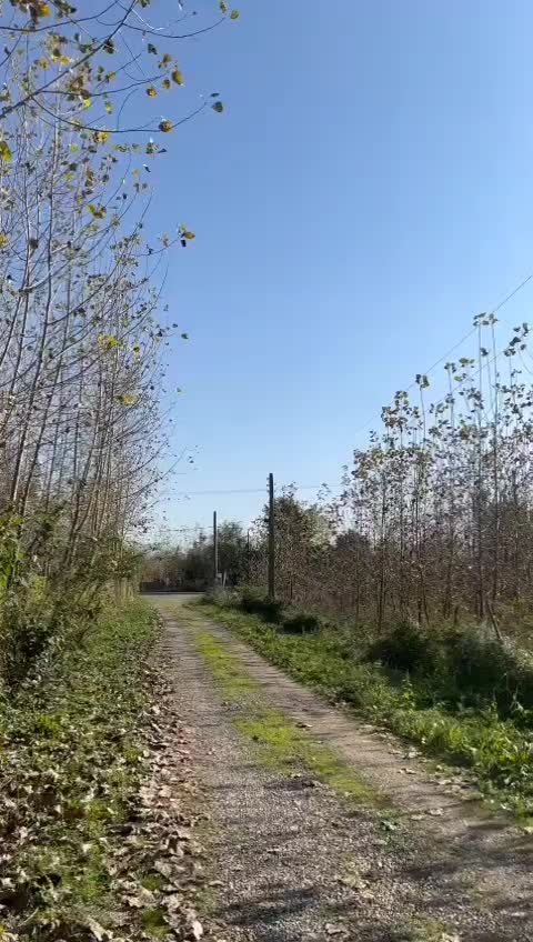 فروش ویلا باغ ۶۰۰متری بابنای ۱۲۰متری|فروش خانه و ویلا|شاندرمن, |دیوار