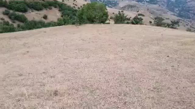 فروش زمین ۲هکتاری طالکوه گیلان ویژه مرغداری|فروش زمین و ملک کلنگی|برهسر, |دیوار