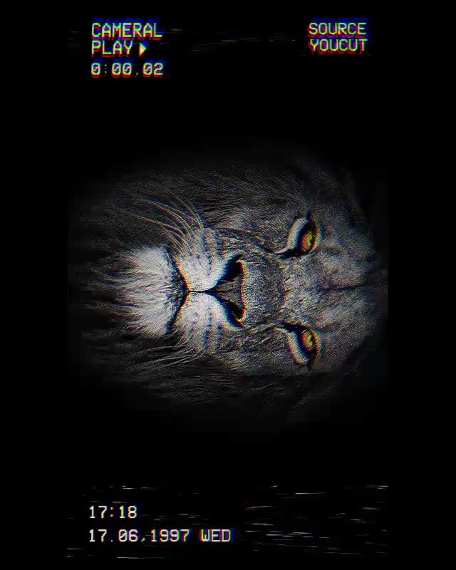 اسپرسو ساز یورولوکس|سماور، چایساز، قهوهساز|شیراز, نیستان|دیوار